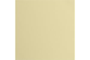 Florence Vaessen Creative cartulina texturizado, beige, 216 gramos, 12 x 12 pulgadas, 20 hojas, para álbumes de recortes, tarjetas, troquelado y otras manualidades de papel, 30.5x30.5cm