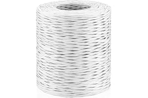 JINZEYOU 200 m/656 ft Papierkordel, Papierdraht Natur, Blumendraht, Dekodraht, Bastelschnur, Papier Eisendraht zum Basteln Floristik Hochzeitsstrauß Verpackung Blumengesteck, Weis