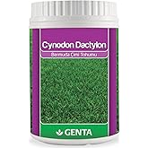 Genta Cynodon Dactylon Bermuda &Ccedil;im Tohumu 500 Gr
