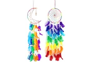 DUGYIRS 2 Pièces Attrapeur de Rêves Crochet Fait Main Plume de Couleur Attrape-Rêves Dream Catcher Décorations Murales à Suspendre pour Les Cadeaux de Festival D'ornement à la Maison