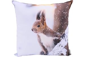 CB Home & Style Outdoor Garten Kissen Wasserabweisend 45 x 45 cm Weihnachten Winter (Eichhörnchen)