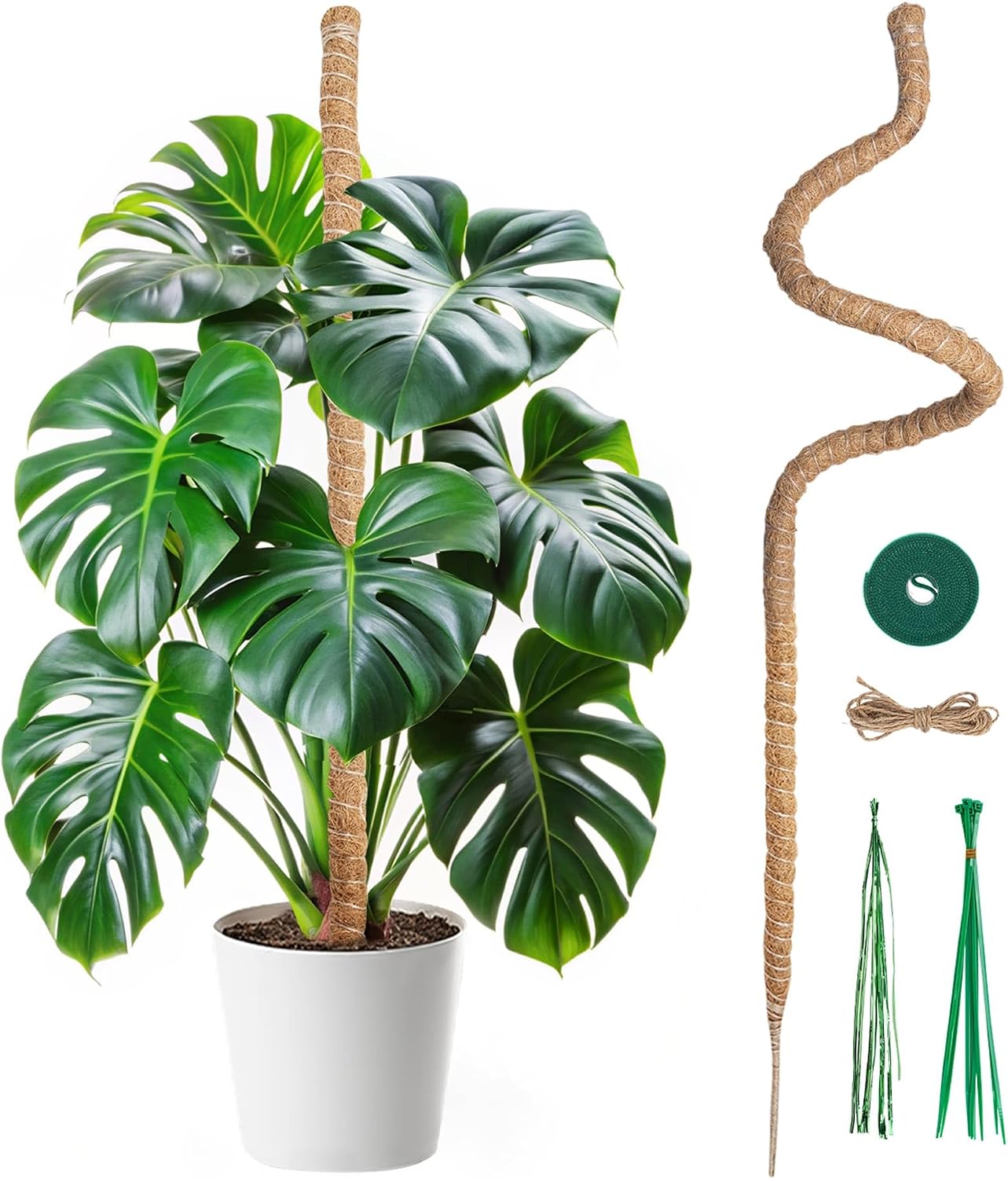 Mcbazel Tuteur Plante Grimpante Coco sur Piquet de Plante 120cm, Support Tuteur de Coco Largeur de 7mm Pliable Poteau de Croissance de Grimpantes pour Monstera/Jardin Domestique
