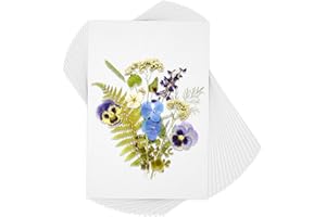 Xelsluthe Blotting Paper for Flower Press, 50 Sheets A4 Size 29.7x21cm Flower Press Paper, Highly Absorbent Reusable Blotter Papers for Herbarium Craft and Fountain Pen Writing