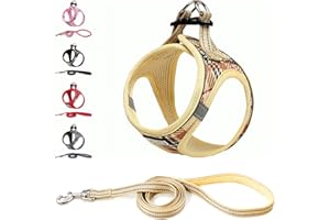 Suredoo Harnais Chien et Laisse - Respirant - Réfléchissant - Step-in Harnais pour Chiens, Gilet Rembourré Confort Mesh Doux pour Petite Chiens Chats pour Marcher, Courir (Beige, L)