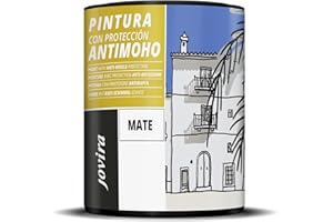 PEINTURE ANTI-MOISISSURES, prévient les moisissures, résiste à l'apparition de moisissures sur les murs, aspect mat Blanc (750 Mililitres)