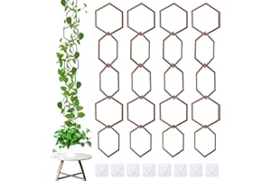 AYYDS 20 Stück Rankgitter aus Holz, Ketten Rankgitter für Kletterpflanzen, Rankhilfe Wandmontage, Spalier für Topfpflanzen, Monstera, Pothos und Efeu