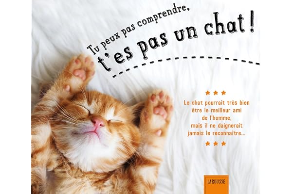 Tu peux pas comprendre, t'es pas un chat !