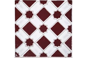 GENERICO Stile Marocco - 20 Mattonelle in ceramica smaltata 10 X 10 cm spessore 0,6 cm - Mattonelle Tunisine realizzate con Serigrafia Artigianale. Adatte a rivestimento. (Amaranto)
