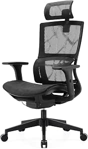 SIHOO Sedia da Ufficio, Sedia ergonomica, Sedia da scrivania per Computer  con Schienale Alto, Sedia in Rete Girevole, Braccioli Regolabili 3D,  Supporto Lombare Elastico Unico (Nero) : Amazon.it: Casa e cucina