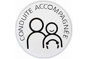 SAFIRMES Disque Conduite accompagnee electrostatique ADNAuto