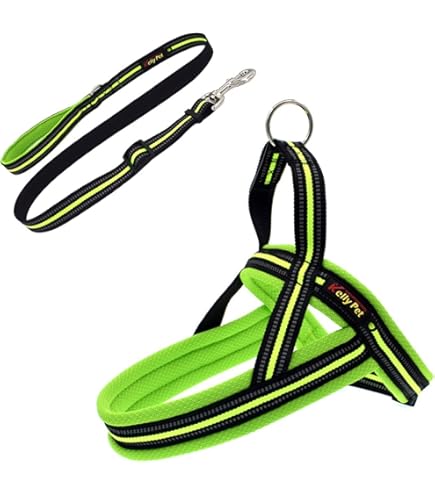 Pettorina Nobby Classic Per Cani - Taglia 60-76cm + 46cm, Larghezza 25-35mm | Arancione/Grigio - Foto 7