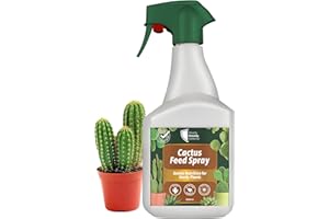 READY STEADY DEFEND Cactus Feed Spray 500ml - Natural Cactus Fertiliser for Healthy Growth | Succulent Plant Food for Indoor & Outdoor | All-Natural Cactus Food with Seaweed Extract | Perfect for Cacti & Succulent Care