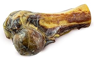 GESPETFOOD 100% NATURAL GESPETFOOD - Medio Hueso de Jamón para Perros - Pack 20 Uds. - Hueso para Perros - Horneados - 100% Natural