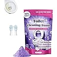 Fizzclean Toilet Cleaner,Fizz Clean Toilet Cleaning Foam,Fizz Clean ...