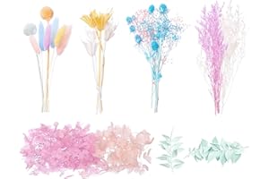The Baked Studio - Deluxe Dried Flower Set Containing Lagurus, Ruscus, Octagonal Flowers, Hydrangea, Craspedia, Limonium, Sea Holly & Million Star (Rainbow Pastels)