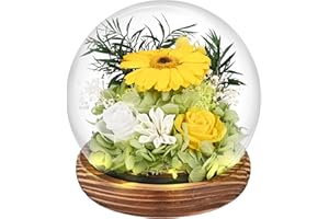 Comius Sharp Regali di girasoli per donne, Girasoli Infiniti Eterni in Vetro, girasole stabilizzato, Fiori Regalo di Compleanno Ispiratore del Sole per Amica Mamma Nonna Insegnante Fidanzate (C)