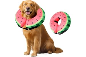 VINGVO Collerette Chien Gonflable, Collier de Protection Anti Lechage pour Chiens et Chats, Collier de Récupération Souple pour Chien de Compagnie (Pastèque, L)