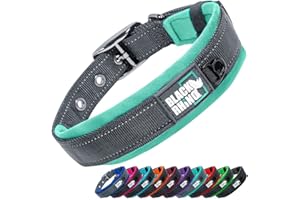 Black Rhino el Collar Comfort (x-Large, Aqua/Gris)