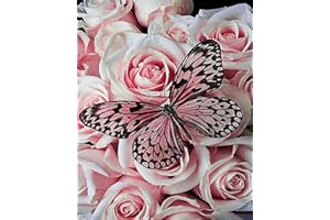 TISHIRON DIY Paint by Numbers for Adults, Butterful Adult Paint by Number Kits on Canvas, Flower Paint by Numbers for Adults Kids and Beginner, 16X20 Inch Flameless Canvas Wall Decor