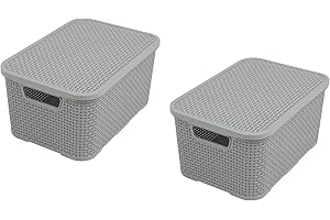 BRANQ HOME ESSENTIAL BranQ - Home essential Juego de 2 cestas con tapa en diseño de ratán, tamaño M 10 L, plástico sin BPA, gris claro, 28.8 x 19.7 x 16.2 cm, 2 unidades, M
