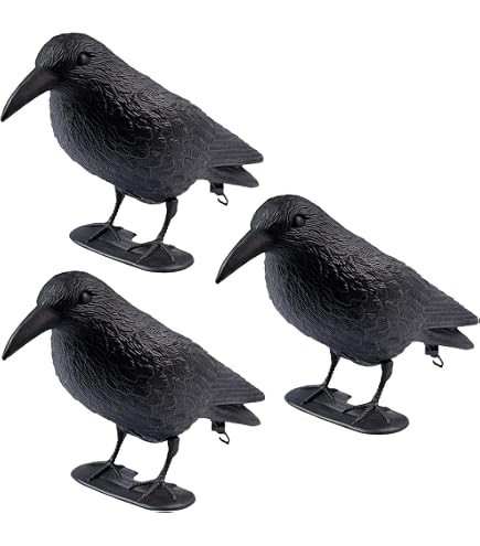 Corbeau Noir Géant Réaliste (43 Cm) - Épouvantail Pour Effrayer Pigeons Et Oiseaux Au Jardin