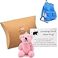 A Little Pocket Bear Hug, Sending You Pocket Hug Anxiety ATeddy Worry Bear Gift, Cute Plush Bear Toy, Love You Gifts, Thinking of You Get Well Soon Gifts for Women Kids Men