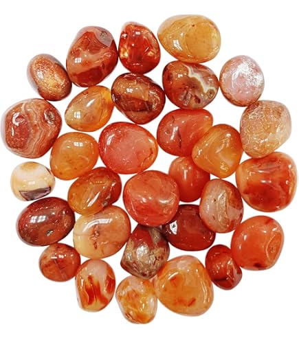 The Chrysalis Stone Tumbled Carnelian - Healing Stone