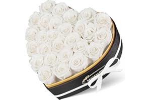 MAMAMIKO 27 Ewige Rosen in Herzform Box - Infinity Weiße Rose, Konservierte Echt Blume, Geschenk für Sie Frauen zum Valentinstag Jahrestag Geburtstag Muttertags Hochzeit