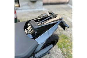 LORABABER Motorrad Hinten Soziusabdeckung Beifahrersitz Verkleidung Heckabdeckung Rücksitzbezug Kompatibel mit DUKE790 790 DUKE 2018 2019 2020 2021 2022 2023 2024 Sozius Solo Verkleidung, Schwarz