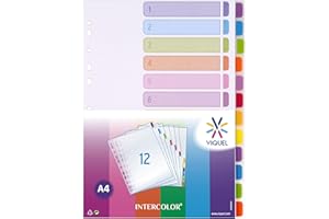 Viquel - Juego de 12 separadores de polipropileno, tamaño A4,