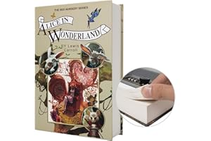 PACOLO Boîte de rangement sûre de livre de détournement de papier réel, coffre-fort secret de dictionnaire avec serrure de code/clé, coffre-fort caché de livre de flip (Clé Alice)