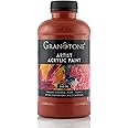 GRANOTONE Acrylic Colour Art and Craft Paint, DIY, Rich Pigment, Non-Cracking for Canvas, Wood, Leather, Earthenware, Metal - 500 Ml (Terracotta), Black