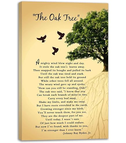 Poster Latta 20x30 Cm Scritta Motivazionale Once Upon A Time There Was A Boy Who Really Loved Cricket - Arredo Parete