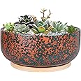 G EPGardening 20.5CM Terracotta Succulent Planter Pot with Drainage Hole Round Shallow Bonsai Planter Pot with Bamboo Saucer Flower Pot for Indoor Plants Green