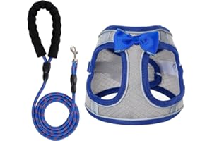 WENDISI Dog Harness with Leash Set, Step-in Breathable Puppy Cat Dog Vest Harnesses, No Pull Adjustable Reflective Puppy Harness with Soft Padded Vest for Extra-Small/Small Medium Large Dogs and Cats