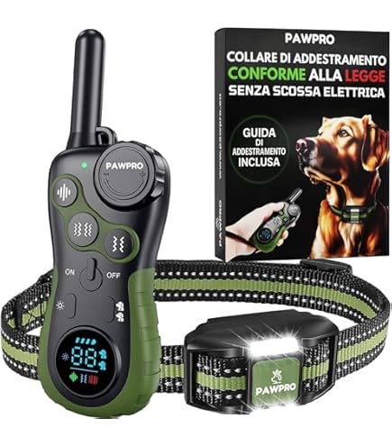 Electrodes courtes pour collier de dressage Canicalm Premium de Num