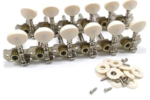 LIZZOT Punte per Accordatura per Chitarra Acustica Un 12 Corde Meccaniche Cromate 6L 6R Strumenti per Chitarra Acustica Parte Accessoria