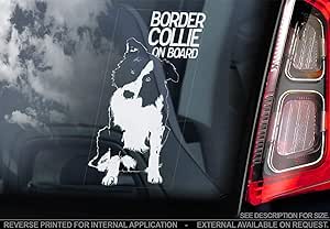 border collie car decal