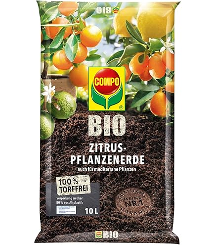 Olivenbaum Erde 40 L (2x20L) mit Dnger - Mediterrane Pflanzenerde - Aus  100% natrlichen Rohstoffen fr krftige Oliven - Erde fr Olivenbume  Pflanzen - Erde Olivenbaum - Olivenbaum-Erde : Amazon.de: Garten
