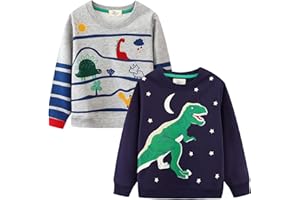 Xumplo Boys 2-Pack Long Sleeve Sweatshirts Toddlers Dinosaur Pullover Tops Kids Crew Neck Cartoon Clothes 2-7Y