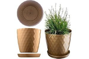 ‎KADAX KADAX Blumentopf mit Untersetzer aus Kunststoff Ø20cm, Gold, Pflanzkübel für Innen- & Außenbereich, auch ideal für Badezimmer oder Toilette lebendige Farben bringen frische Akzente in Ihr Zuhause