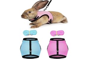 JOYOLA 2 Pezzi Imbracatura Coniglio, Coniglio Regolabile Traspirante, Pettorina Coniglio, Confortevole Pettorina Coniglio con Elastico Guinzaglio, per Piccolo Coniglio Criceto Gatto (M)