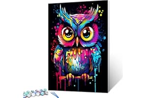 Tucocoo Kit de peinture à l'huile numérique graffiti hibou par numéro pour adultes, peinture à l'huile sur toile avec pinceaux et pigments acryliques, image de style animal mignon coloré pour