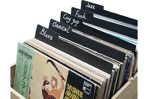 sdroceRyaM 10 st vinylskivdelare 12,5 tum svart kategori flik dubbelsidig plastavdelare vinylskiva guider för LP, bokhylla so