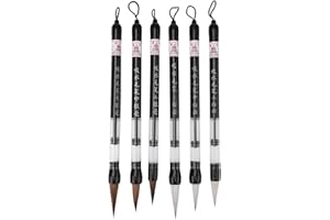 HERCHR Pluma de pincel de agua china con relleno de pistón de 6 piezas, pluma de caligrafía china japonesa para pintura para principiantes, pincel reutilizable, bolígrafo de dibujo, material escolar