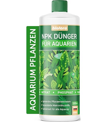 davana plant TIMELESS Davana therapeutic essential oil is energizing and uplifting –  TIMELESS Essential Oils