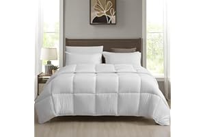 APSMILE Trapunta in Microfibra, Piumino Estivo, Piumone Leggero Ultra Morbido 180 GSM, Matrimoniale Piumino 220 x 240 CM, Lavabile in Lavatrice, Blanco