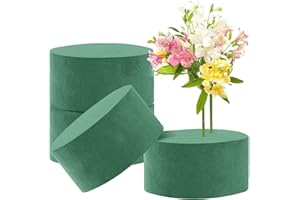 Canollo 4 Stück Steckschaum Rund, Blumensteckschaum Set, Steckschaum für Blumen, 8x4cm, Steckmasse für Kunstblumen, Hochzeiten Blumengeschäfte Familie Dekorationen Steckmoos