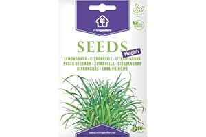 Citronnelle, Graines prêt à Pousser Minigarden, 100% Naturelles sans Propagateurs Chimiques ni Génie Génétique, inclut entre 25 et 40 graines