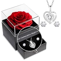 YNNHUDEEP Rose éternelle rouge avec tige – Véritable rose préservée dans une boîte cadeau de qualité supérieure, pour femme, petite amie, grand-mère, Saint-Valentin, Noël, fête des mères YNNHUDEEP Rose éternelle rouge avec tige – Véritable rose préservée dans une boîte cadeau de qualité supérieure, pour femme, petite amie, grand-mère, Saint-Valentin, Noël, fête des mères